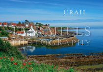 Crail, From Above, Flowers (H IM)