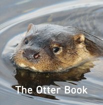 Otter Book, The (Aug)