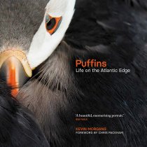 Puffins: Life on the Atlantic Edge (Oct)