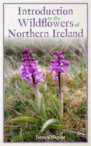 Introduction to the Wildflowers of Northern Ireland (Oct)