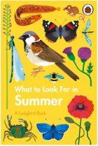 What to Look for in Summer (Ladybird)