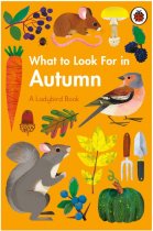 What to Look for in Autumn (Ladybird)