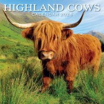 2024 Calendar Highland Cows (2 for £9v) (Mar)