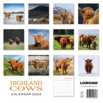 2024 Calendar Highland Cows (2 for £9v) (Mar)