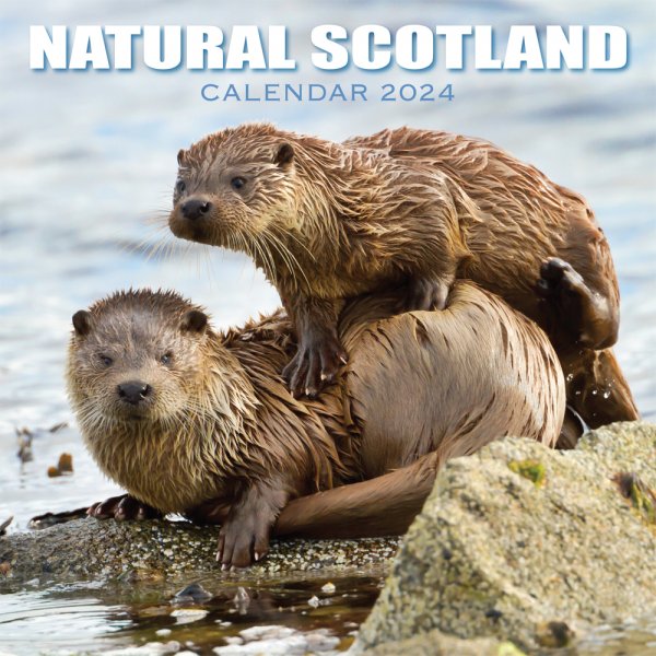 2024 Calendar Natural Scotland (2 for £9v) (Mar)