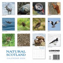 2024 Calendar Natural Scotland (2 for £9v) (Mar)