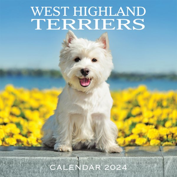 2024 Calendar West Highland Terriers (2for£9v) (Mar)