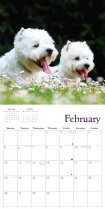 2024 Calendar West Highland Terriers (2for£9v) (Mar)