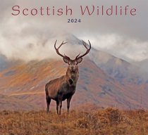 2024 Calendar Scottish Wildlife (Mar)