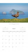 2024 Calendar Scottish Wildlife (Mar)