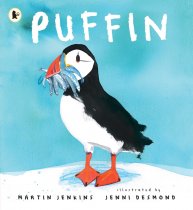 Puffin (May)