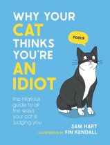 Why Your Cat Thinks You're an Idiot (Aug)