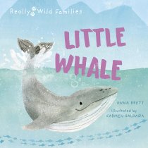 Little Whale: A Day in the Life of a Whale Calf (Aug)