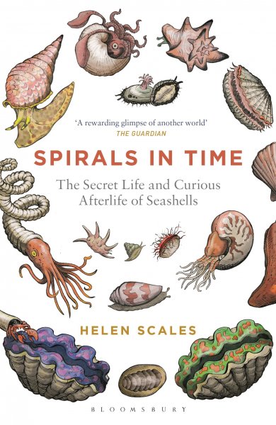 Spirals in Time *SPECIAL