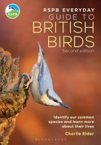 RSPB Everyday Guide to British Birds (Feb)