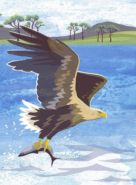 Notebook Sea Eagle (May)