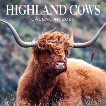 2025 Calendar Highland Cows (2 for 9v) (Mar)