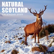 2025 Calendar Natural Scotland (2 for 9v) (Mar)