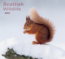 2025 Calendar Scottish Wildlife (Mar)