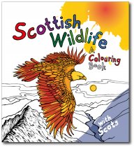 Scottish Wildlife: A Colouring Book with Scots (May)