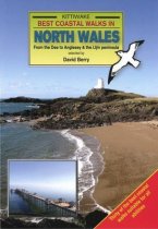 Kittiwake Best Coastal Walks in North Wales