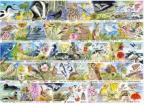 Jigsaw RSPB Birdsong & Bluebells 1000pc (Feb)