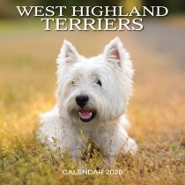 2026 Calendar West Highland Terriers (2 for 10v) (Mar)