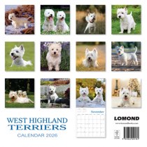 2026 Calendar West Highland Terriers (2 for 10v) (Mar)