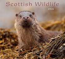 2026 Calendar Scottish Wildlife (Mar)