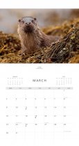 2026 Calendar Scottish Wildlife (Mar)