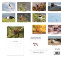 2026 Calendar Scottish Wildlife (Mar)