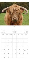 2026 Calendar Highland Cows (Mar)