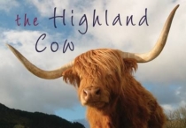 Highland Cow, The