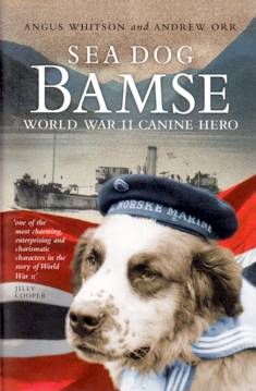 Sea Dog Bamse