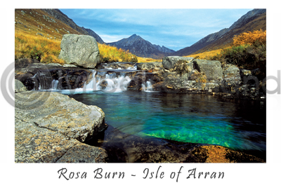 Rosa Burn Pool Postcard (HA6)