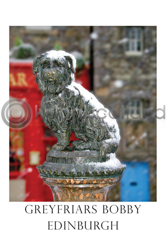 Greyfriars Bobby in Snow Postcard (V A6 LY)