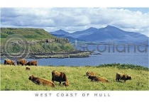 Highland Cattle & Ben More Range (HA6)