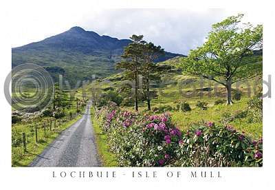 Road To Loch Buie & Ben Buie (HA6)