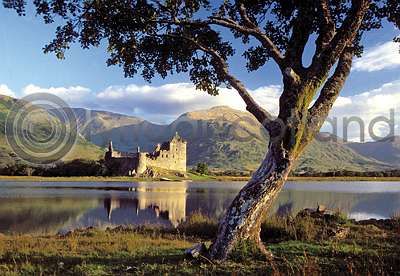 Kilchurn Castle & Tree (HA6)