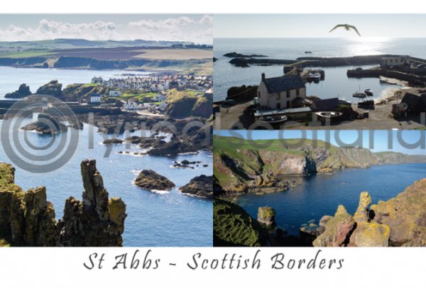 St Abbs Composite Postcard (H A6 LY)