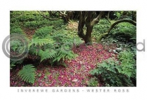 Inverewe Gardens Wester Ross (HA6)