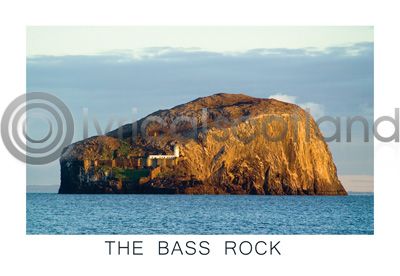 Bass Rock (HA6)