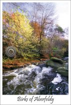 Birks, Aberfeldy, Autumn Postcard (V A6 LY)