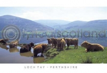 Highlanders, Loch Tay (HA6)