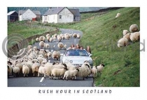 Rush Hour In Scotland (HA6)