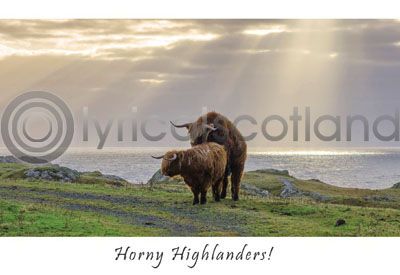 Horny Highlanders (HA6)