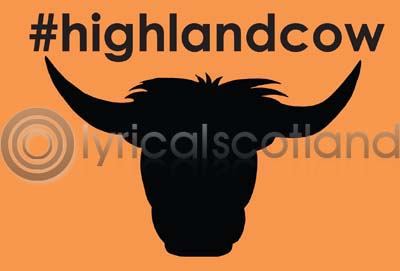 #highlandcow (HA6)