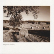 Hay Bales, Stirling (Sepia)