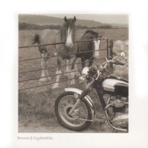 Bonnie & Clydesdales (Sepia)