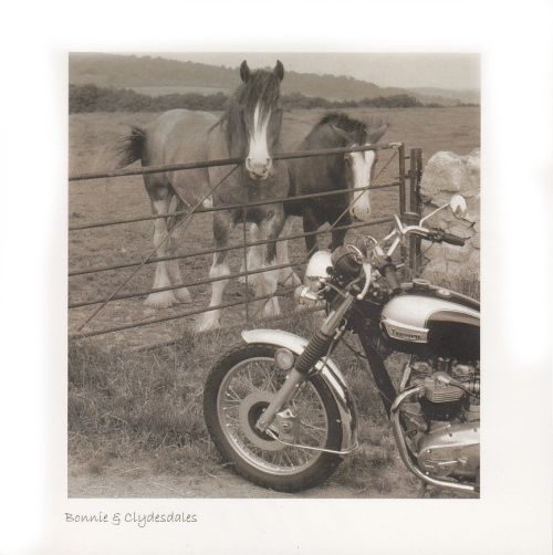 Bonnie & Clydesdales (Sepia)